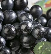 grapes project thumbnail