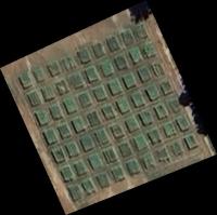 Novo Dataset (leafmap) project thumbnail