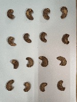 Cashew project thumbnail
