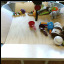 vpt_vlr project thumbnail