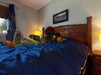 obj_58 project thumbnail
