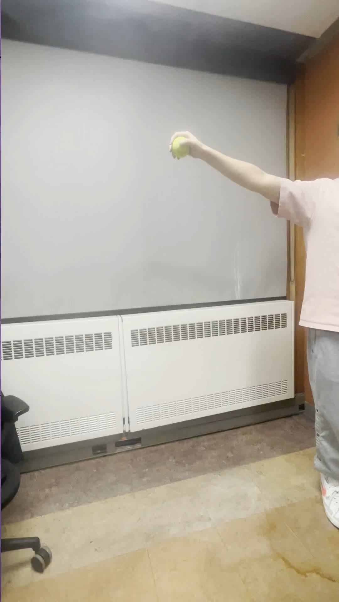 Tennis Ball Detection Object Detection Dataset by finalproj
