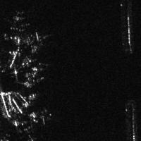 Yolo-11-Unfiltered project thumbnail