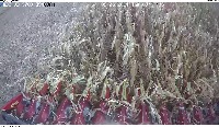 test crop 3 project thumbnail