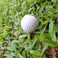 GCR_Golfer_Golfball_Dataset project thumbnail