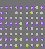 Annotation Visualization