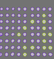 Annotation Visualization