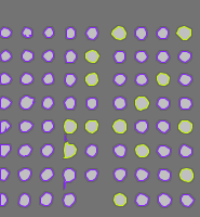 Annotation Visualization