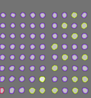 Annotation Visualization