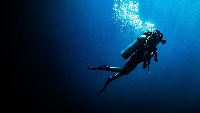 divers project thumbnail