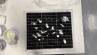 solar panel project thumbnail