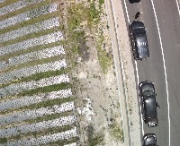 PlasticMulch Detection project thumbnail