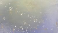 Aggregation Ompok project thumbnail