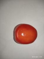 Clasificacion Tomate project thumbnail