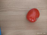 CalidadDelTomate project thumbnail