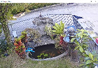Fish pond project thumbnail