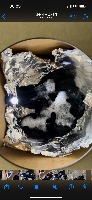 Bubbles project thumbnail