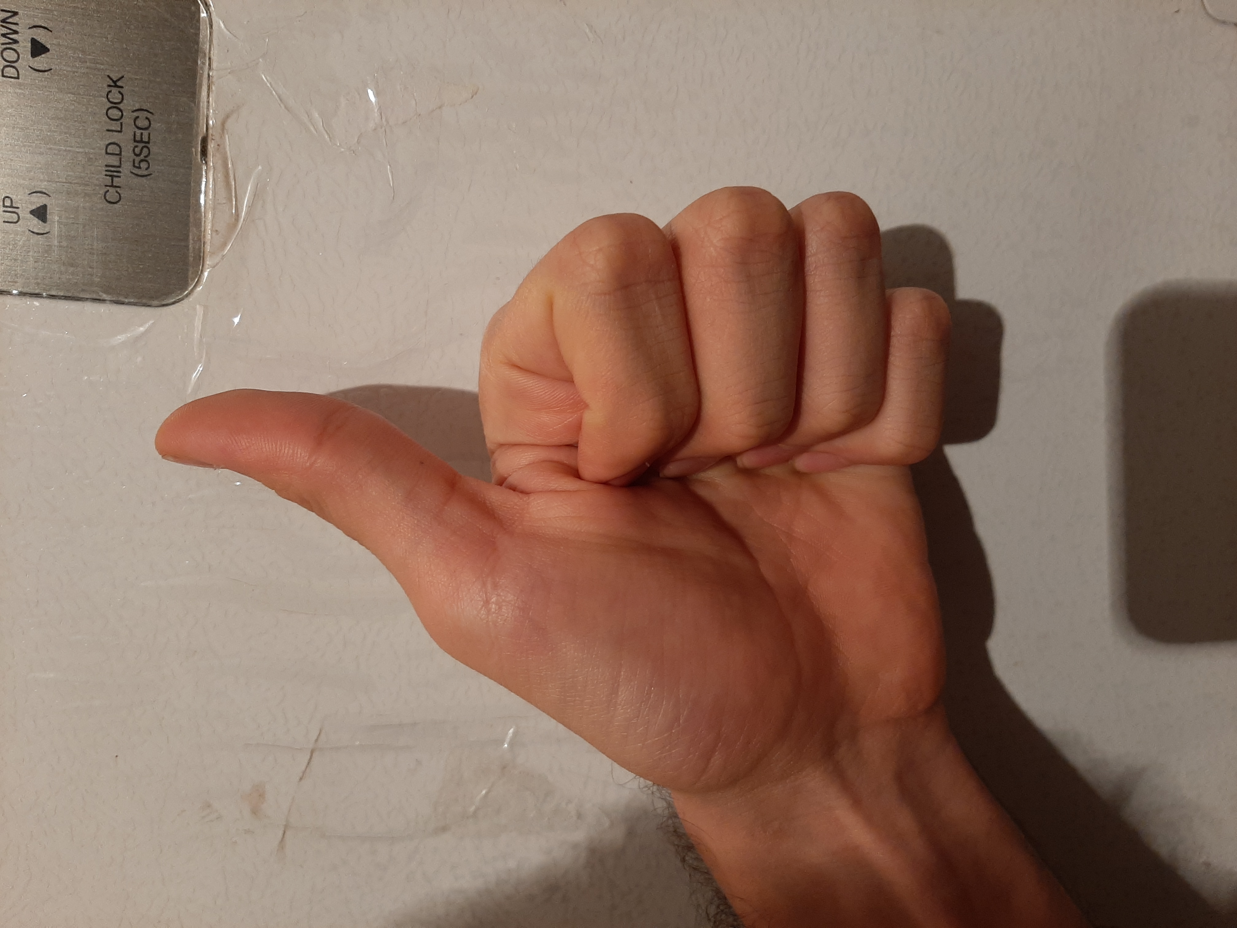 YOLOv5-Hand-Gesture Object Detection Model by Dataset