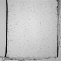 new project thumbnail