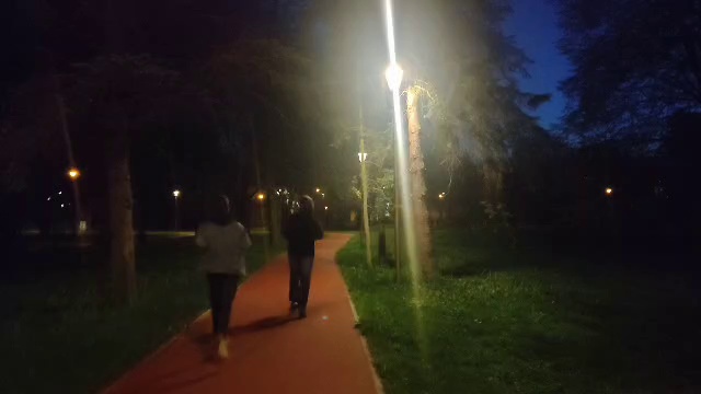 human Object Detection Model by nightvisionpeople