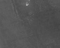 Small mammal 30m project thumbnail
