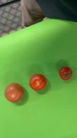 Tomatoes3 project thumbnail