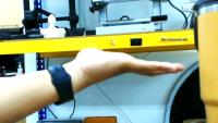 Palm Pose Detection project thumbnail