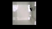 mouse  project thumbnail