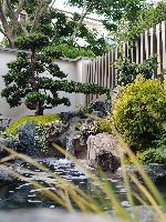Outdoor-tree-landscaping project thumbnail