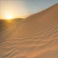 Find dunes project thumbnail
