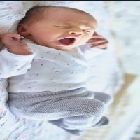 bebes 2 project thumbnail