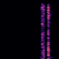 gunshot spectrogram classifier Object Detection Model by gunshotdetection