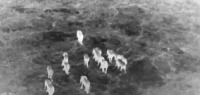 Object detection of thermal images project thumbnail