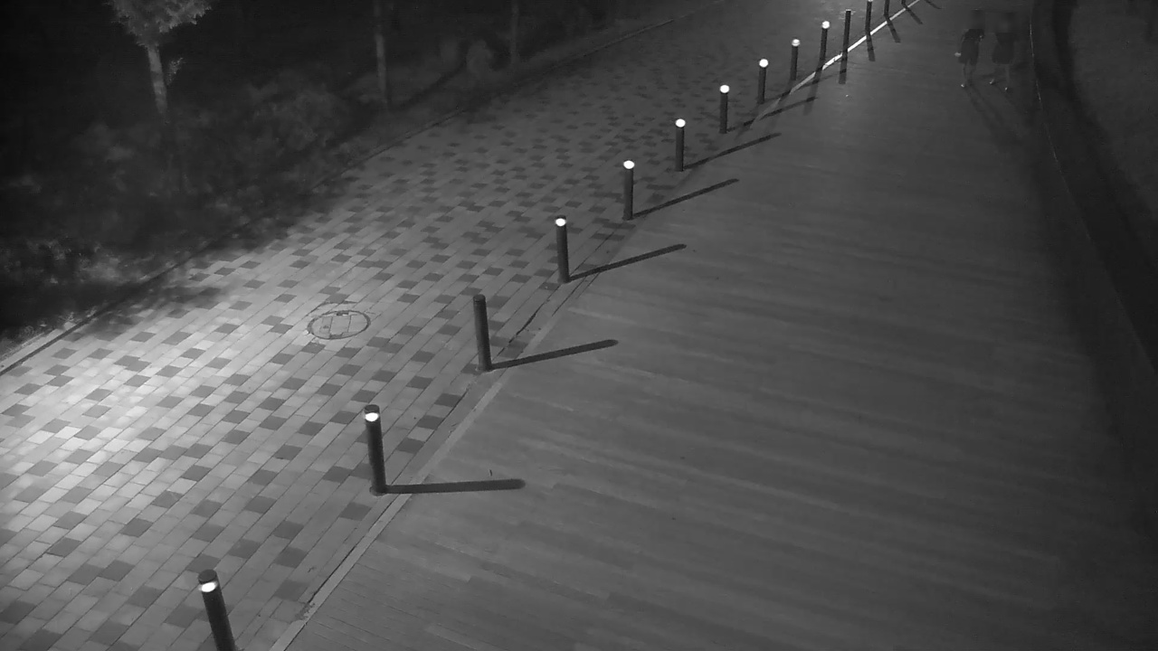 check-object-detection-dataset-by-workspaceacegasan501