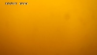 DETECTION project thumbnail