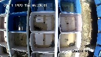 crabs170824 project thumbnail