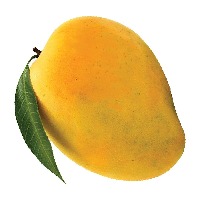 mango project thumbnail