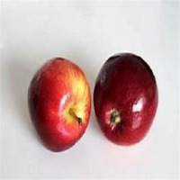 apple project thumbnail