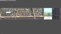 cane train licence plate project thumbnail