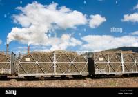 Cane Train Detection F/E project thumbnail
