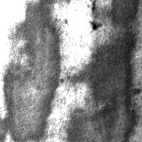 NEU-DET Object Detection Dataset by yolo
