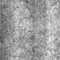 NEU-DET Object Detection Dataset by yolo