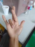 Hand Gesture  project thumbnail
