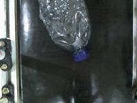plastic bottle defect detection project thumbnail
