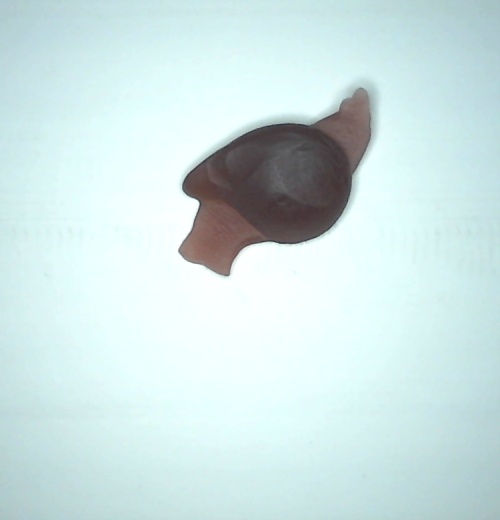candy Object Detection Model by DARREN