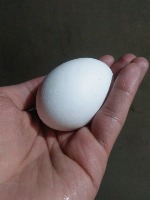 egg project thumbnail