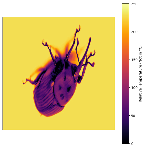 Object Detection Insect INSECT DETECTION (insect-detection-rxqjs) - Roboflow Universe