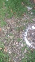 NotSoil2 project thumbnail