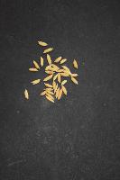 RICE_CLASSIFICATION project thumbnail