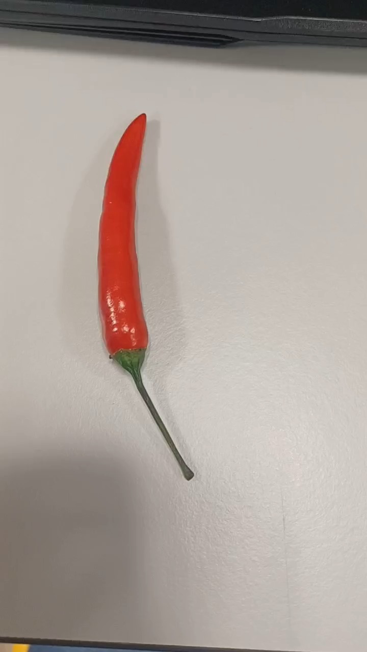 IDP Vege Object Detection Dataset by Nova